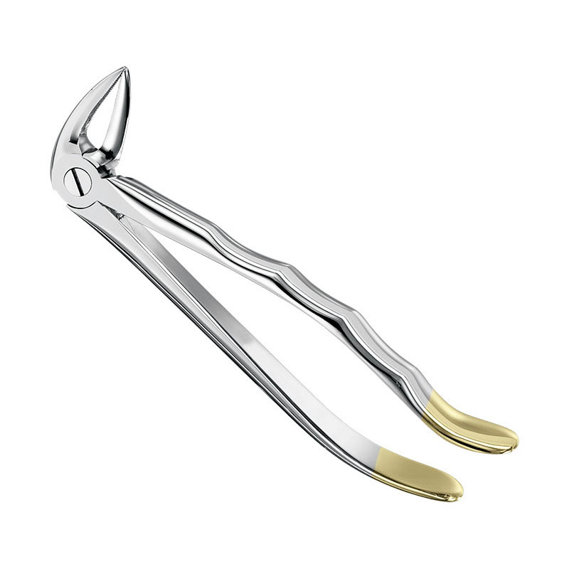 Extracting forceps, anat.