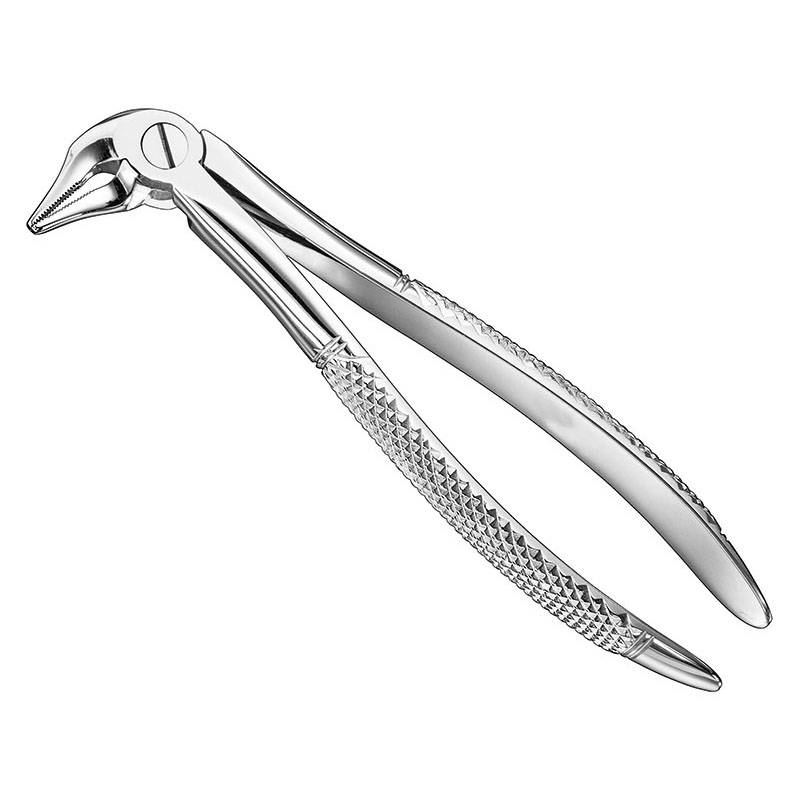 Extracting forceps, engl.