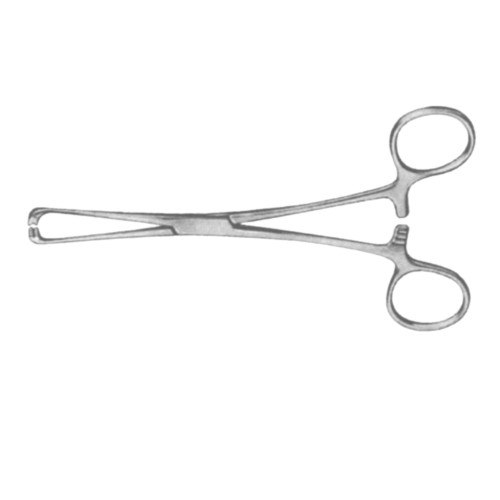 Tendon Holding Forcep