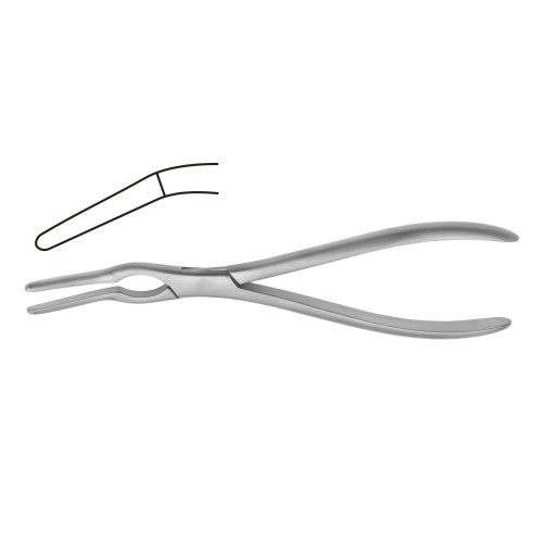 Asch Septum Straightning Forcep