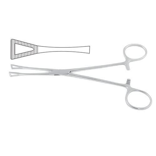 Pennington Organ Grasping Forcep